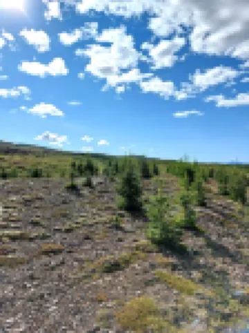 Ásgeirsstaðir Cottages