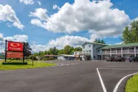 Quality Inn & Suites - Kolam Renang