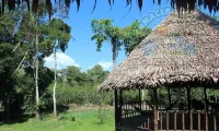Cumaceba Amazon Lodge - Homestays