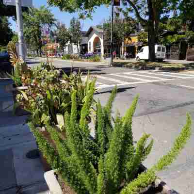 Sens Hotel & Vanne Bistro Berkeley Others