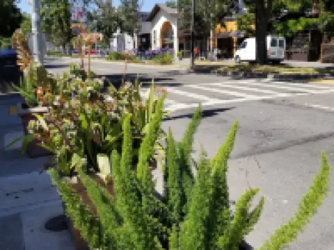 Sens Hotel & Vanne Bistro Berkeley Hotels in Berkeley