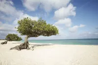 Eagle Aruba Resort - Beach