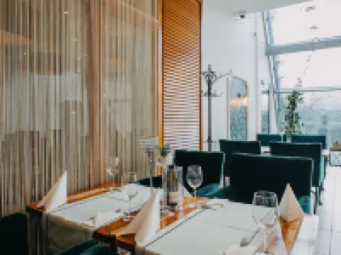 Hotel Szara Willa Hotels in Opole