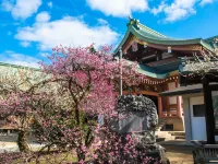 Kamishichiken Oku Hotels in Kyoto