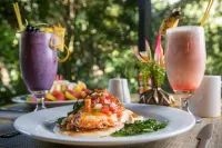 Sweet Songs Jungle Lodge Hotels in Negroman