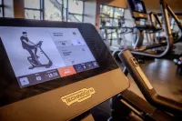 Palm Hotel & Spa - Gym