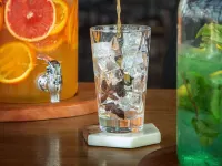 齊普爾檸檬樹尊貴飯店 - 酒吧