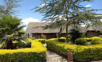 Sunbird Lodge Elementaita