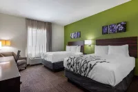 Sleep Inn & Suites Tampa South - spa