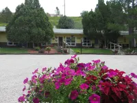 The Pines Country Inn Hotels in Newcastle