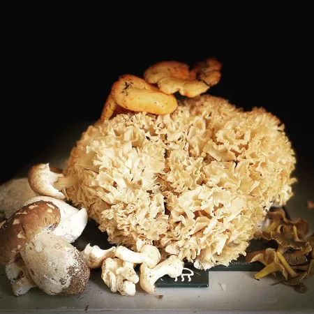 Chambre D hôtes la Vaisse