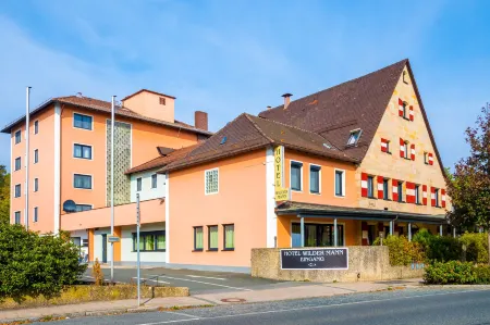 Hotel Wilder Mann Отели в г. Лауф-ан-дер-Пегниц