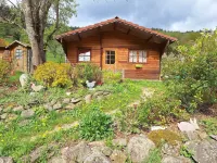 Chalet Détente Hotels in Bussang