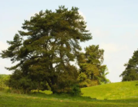 Haus am Gardersee Mit Garten