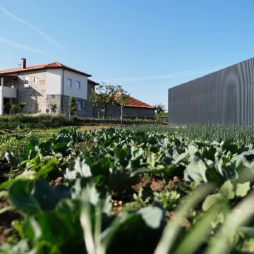 Aldeia da Quinta do Paço - Turismo Rural Santo Tirso Отели в г. Санту-Тирсу