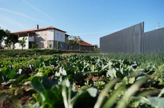 Aldeia da Quinta do Paço - Turismo Rural Santo Tirso