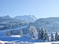 Appenzeller Huus Bären