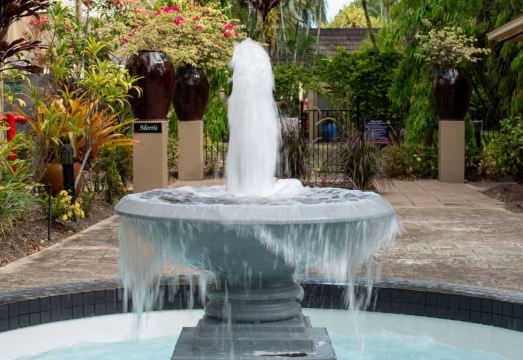 더 네스트 케언즈