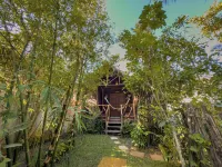 Pousada Castelo Do Vento Hotels in 