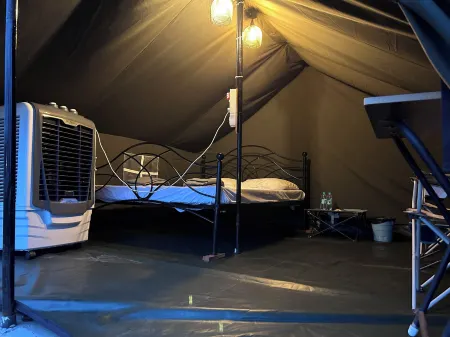 Wilderness Jungle Camp