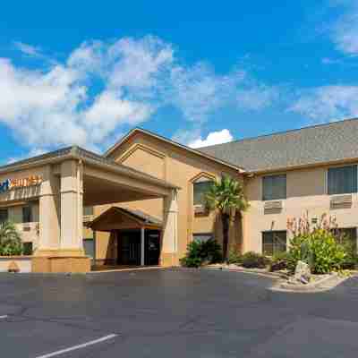 Comfort Suites Hotel Exterior