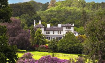 The Falcondale at Lampeter