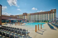 Great Wolf Lodge Webster - Pools