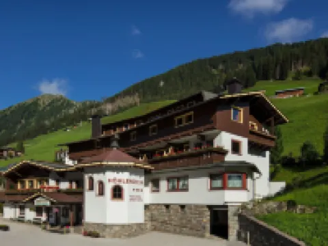 Hotel Höhlenstein Hotels in Tux