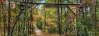 Silver Ridge Resort