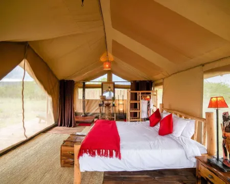 非洲亞桑加豪華酒店 塞倫蓋蒂酒店