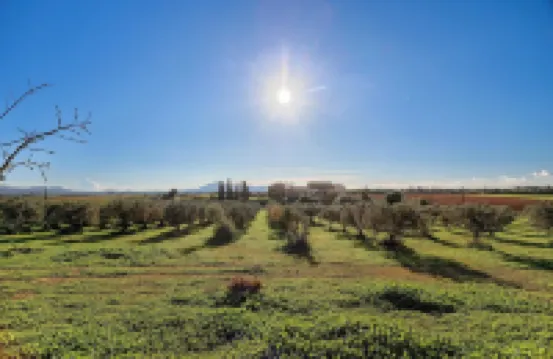 Agroturismo Finca Son Valls - Adults Only