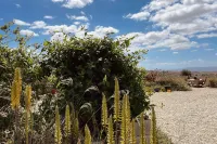 El sueño de Andalucia - Homestays