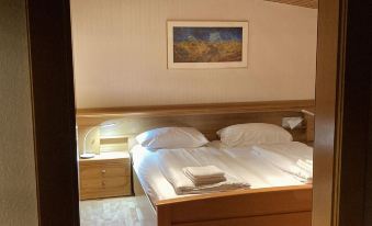 Holiday Home Seeboden Near Ski & Lake Views