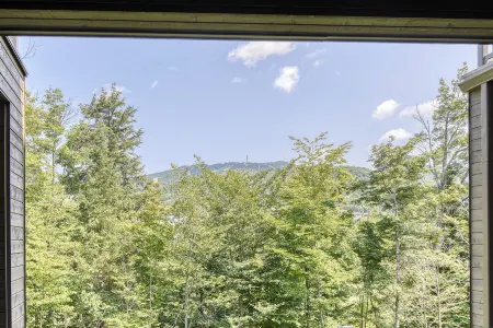 101 Verbier Building 5