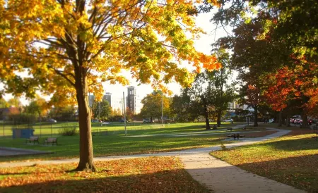 Taylor's Pharmacy Guesthouse Отели рядом с достопримечательностью «Battleship Cove»