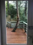Sassafras Treehouse in The Dandenong Ranges, Victoria