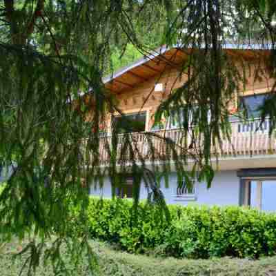 Chalet BAMBI in GÉRARDMER for unforgettable holidays Hotel Exterior