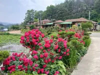 Red Clay Pension Dream Conversation Hotels in Donghae