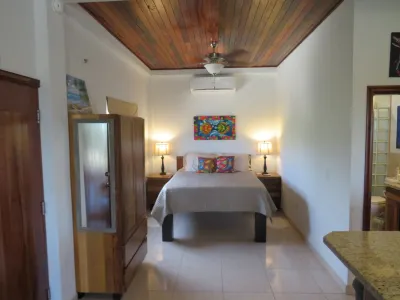 Coconut Palm Unit: Upscale condo with Caribbean Sea views
