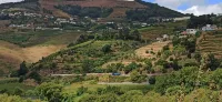 Vineyards Valley House - 3-Star