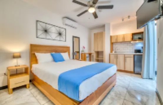 Modern Apartment in San Jose Downtown with patio! Hotels in 