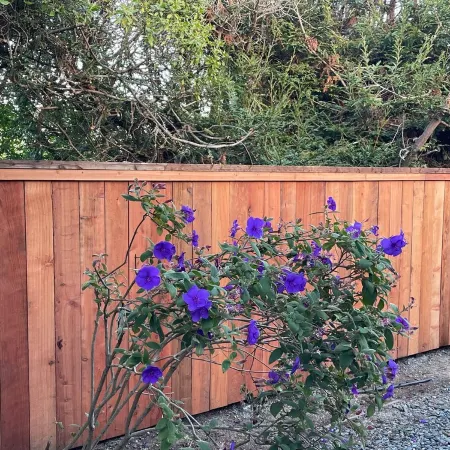 Bodega Bay Gem: 180° Ocean Views, Hot Tub, Man Cave & Family Vibes – Sleeps 12