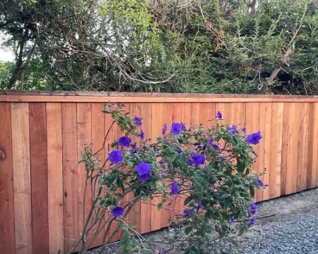 Bodega Bay Gem: 180° Ocean Views, Hot Tub, Man Cave & Family Vibes – Sleeps 12 Hotels in Bodega Bay