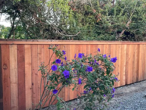 4.5 Bedrooms, 3 Baths, 2 Kitchens, 180 degree views and a 'Man Cave' Hotels in Bodega Bay