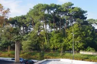 Charming apartment, everything on foot or by bike. Heart of Capbreton