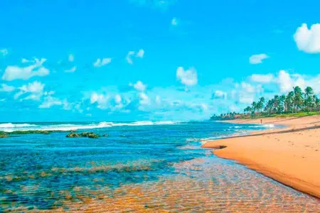 House 500mts from Vilas beach 5/4 with pool Отели рядом с достопримечательностью «Parque Ecológico de Lauro de Freitas»