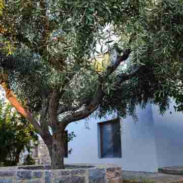 White Sand resort. Family-friendly hotels up to 6 people Hotel Exterior