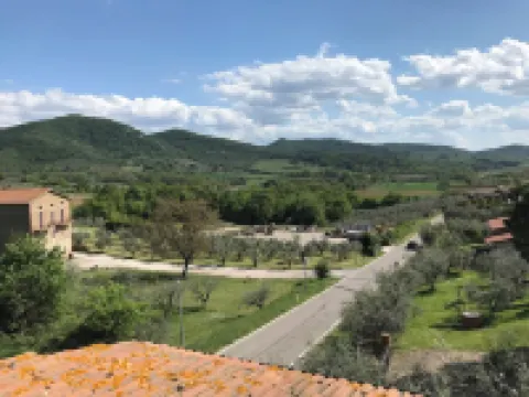 Lovely holiday house: private swimming pool, olive tree garden, cultural setting