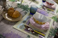 Charming house with garden near the romantic lake of 0rta, for 6 people