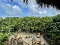 Ecoxata - Adults Only Hotels in Juan De Acosta